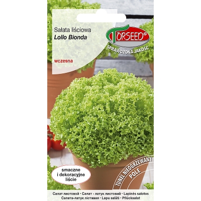 Sałata liściowa Lollo Bionda wczesna nasiona